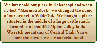 History of WildeOak Kennel