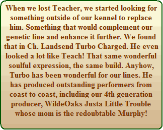History of WildeOak