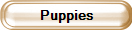 Puppies