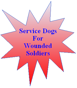 service dogs