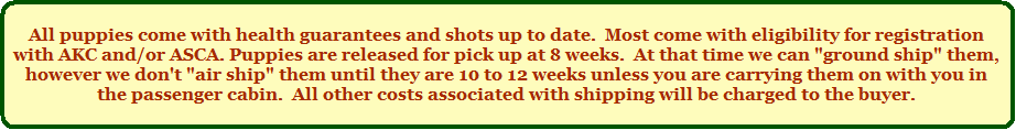 All puppies come with health guarantees and shots up to date.  Most come with eligibility for registration with AKC and/or ASCA.  All puppies are F.O.B. here at the ranch.  Puppies are released for pick up at 8 weeks.  At that time we can "ground ship" them, however we don't "air ship" them until they are somewhat older unless you are carrying them on with you in the passenger cabin.  We hand deliver puppies to California free of charge.  All other costs associated with shipping will be charged to the buyer.