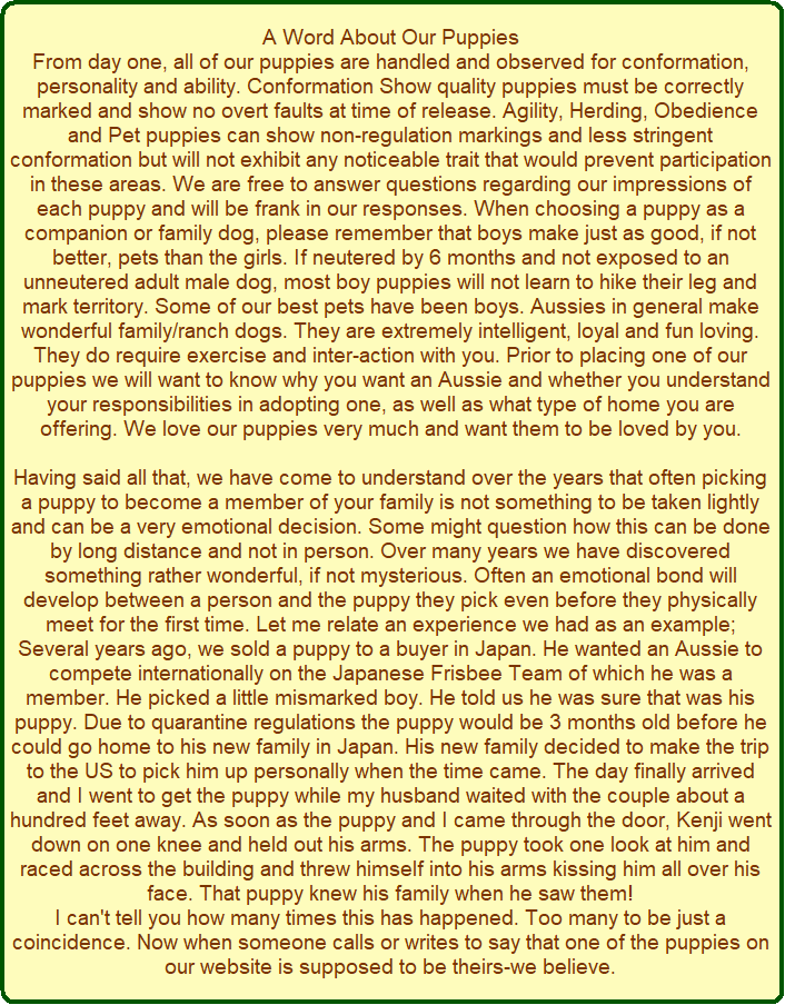 From day one, all of our puppies are handled and observed for conformation, personality and ability. Conformation Show quality puppies must be correctly marked and show no overt faults at time of release. Agility, Herding, Obedience and Pet puppies can show non-regulation markings and less stringent conformation but will not exhibit any noticeable trait that would prevent participation in these areas. We are free to answer questions regarding our impressions of each puppy and will be frank in our responses. When choosing a puppy as a companion or family dog, please remember that boys make just as good, if not better, pets then the girls. If neutered by 6 months and not exposed to an unneutered adult male dog, most boy puppies will not learn to hike their leg and mark territory. Some of our best pets have been boys. Aussies in general make wonderful family/ranch dogs. They are extremely intelligent, loyal and fun loving. They do require exercise and inter-action with you. Prior to placing one of our puppies we will want to know why you want an Aussie and whether you understand your responsibilities in adopting one, as well as what type of home you are offering. We love our puppies very much and want them to be loved by you.