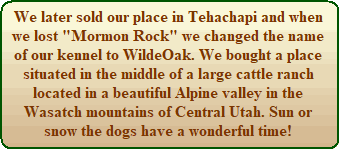 History of WildeOak Kennel