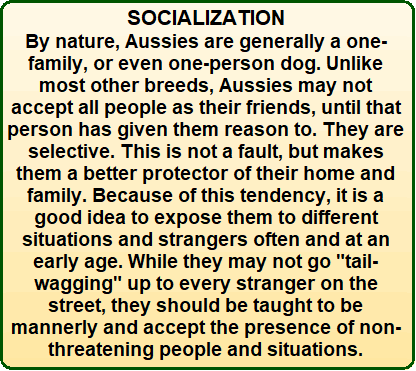 Socialization