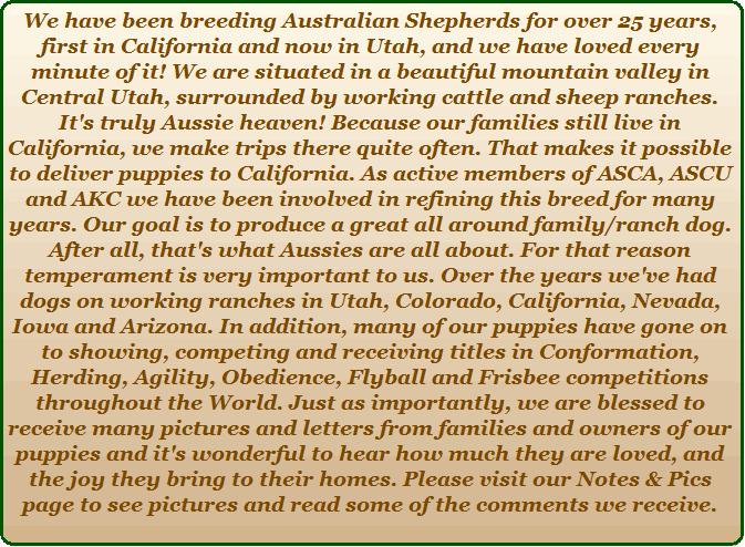 We have been showing and breeding Australian Shepherds for many years