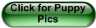 Click for Puppy Pics