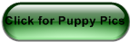 Click for Puppy Pics