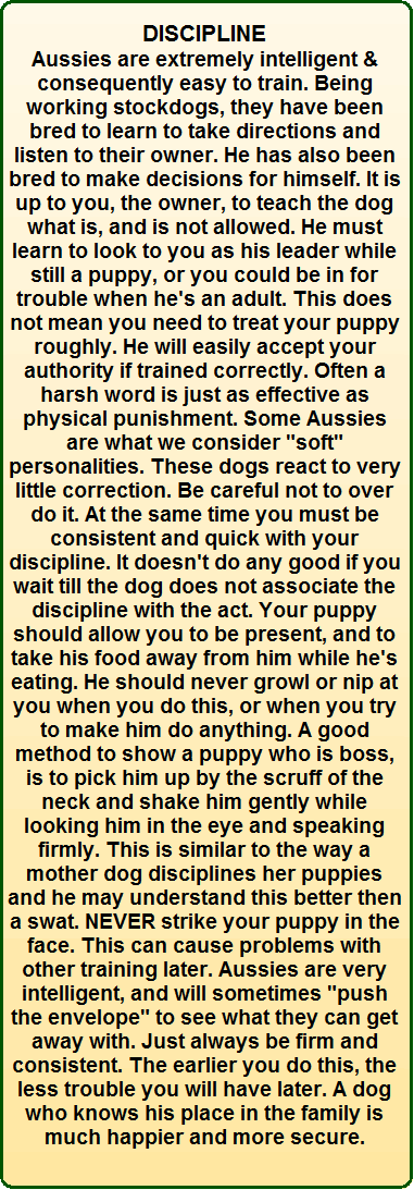 Discipline