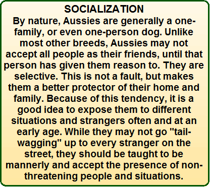 Socialization